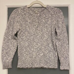 L.L. Bean White and Blue Knit Sweater